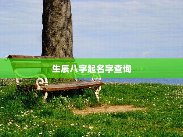 生辰八字起名字查询