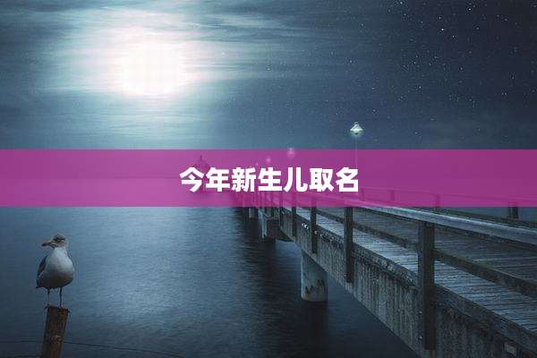 今年新生儿取名