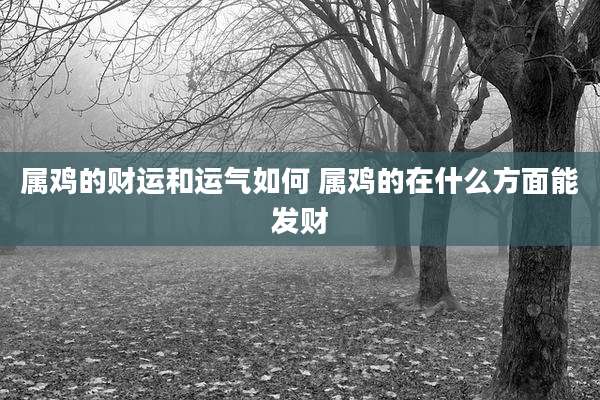属鸡的财运和运气如何 属鸡的在什么方面能发财