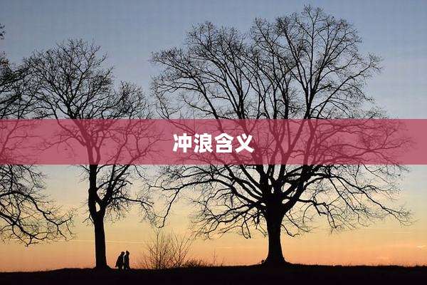冲浪含义