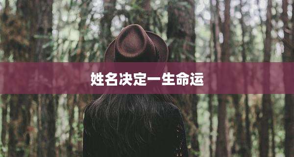姓名决定一生命运