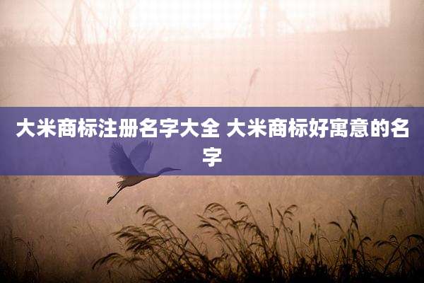 大米商标注册名字大全 大米商标好寓意的名字