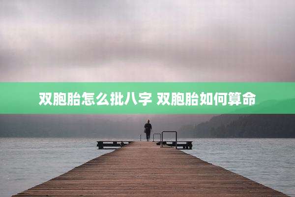 双胞胎怎么批八字 双胞胎如何算命