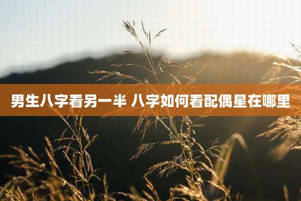 男生八字看另一半 八字如何看配偶星在哪里