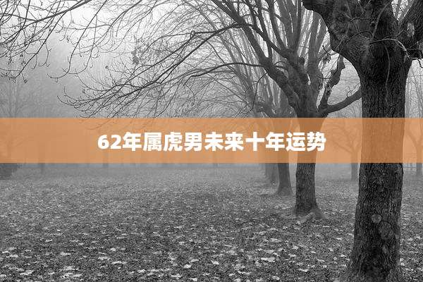 62年属虎男未来十年运势