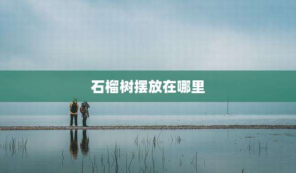 石榴树摆放在哪里