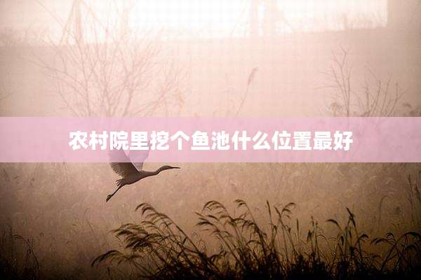 农村院里挖个鱼池什么位置最好