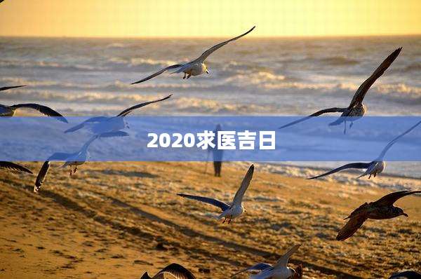 2020求医吉日