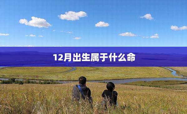 12月出生属于什么命