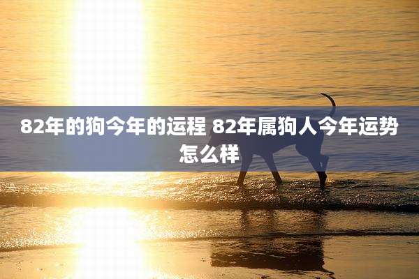 82年的狗今年的运程 82年属狗人今年运势怎么样