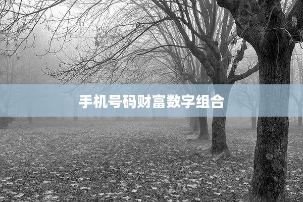 手机号码财富数字组合