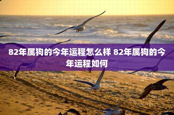82年属狗的今年运程怎么样 82年属狗的今年运程如何
