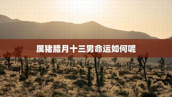 属猪腊月十三男命运如何呢
