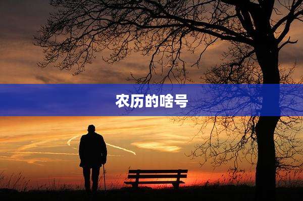 农历的啥号