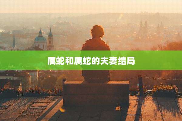 属蛇和属蛇的夫妻结局