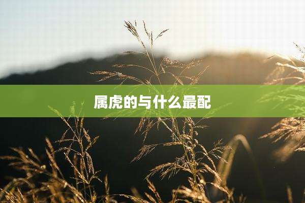 属虎的与什么最配