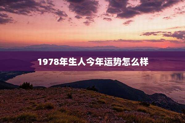 1978年生人今年运势怎么样