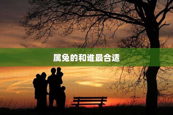 属兔的和谁最合适