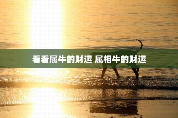 看看属牛的财运 属相牛的财运