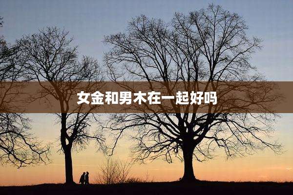 女金和男木在一起好吗