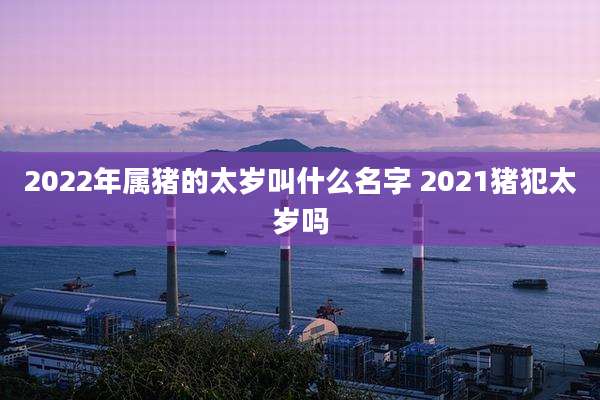 2022年属猪的太岁叫什么名字 2021猪犯太岁吗