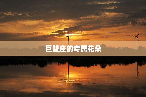 巨蟹座的专属花朵