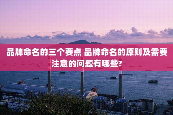 品牌命名的三个要点 品牌命名的原则及需要注意的问题有哪些?