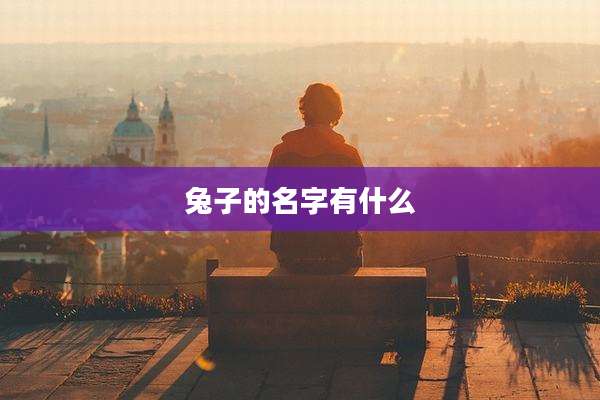 兔子的名字有什么