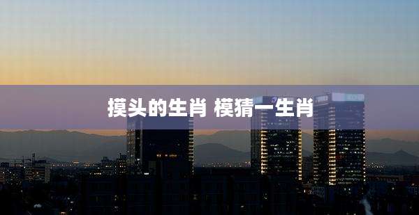 摸头的生肖 模猜一生肖