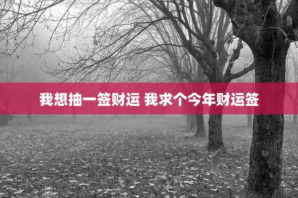 我想抽一签财运 我求个今年财运签