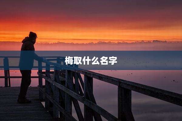 梅取什么名字