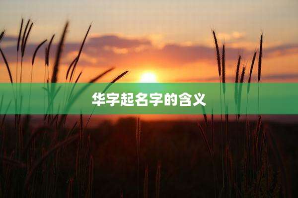 华字起名字的含义