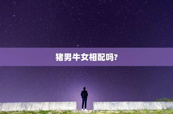 猪男牛女相配吗?