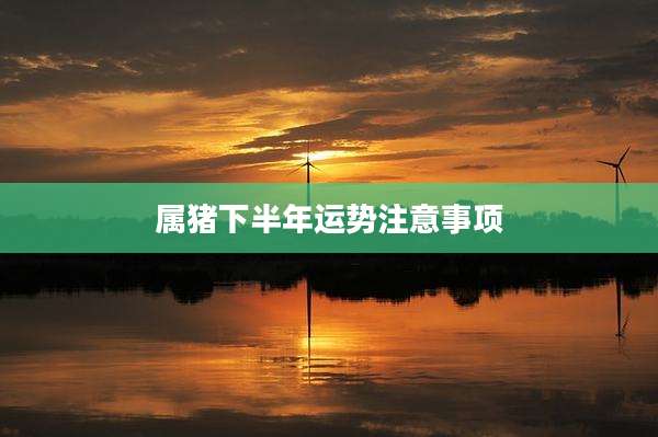 属猪下半年运势注意事项