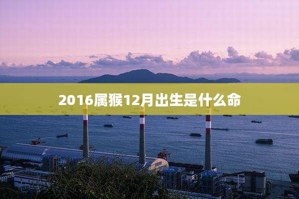 2016属猴12月出生是什么命