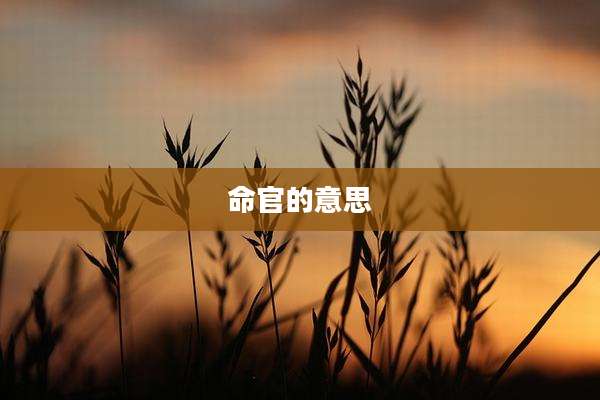 命官的意思