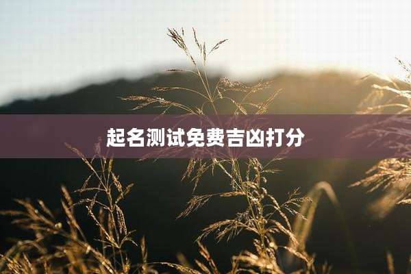起名测试免费吉凶打分