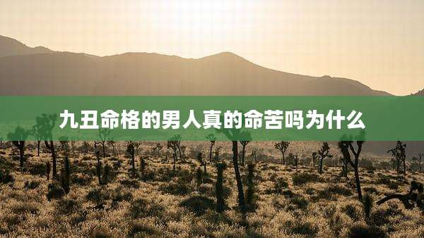 九丑命格的男人真的命苦吗为什么