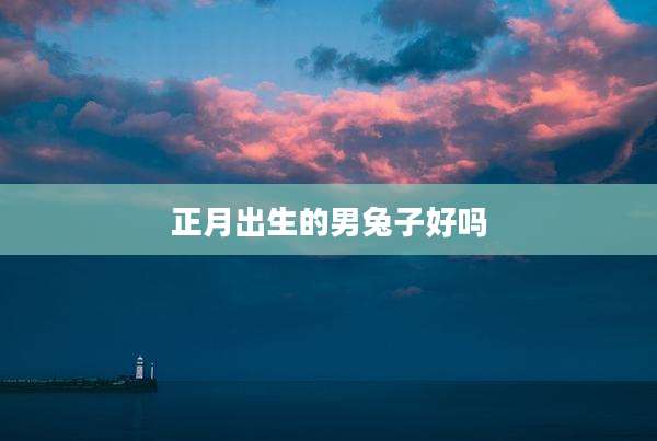 正月出生的男兔子好吗