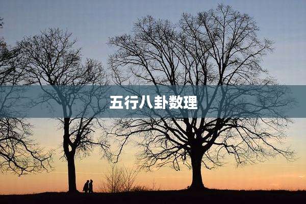 五行八卦数理