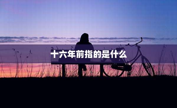 十六年前指的是什么