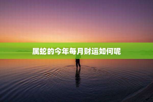 属蛇的今年每月财运如何呢