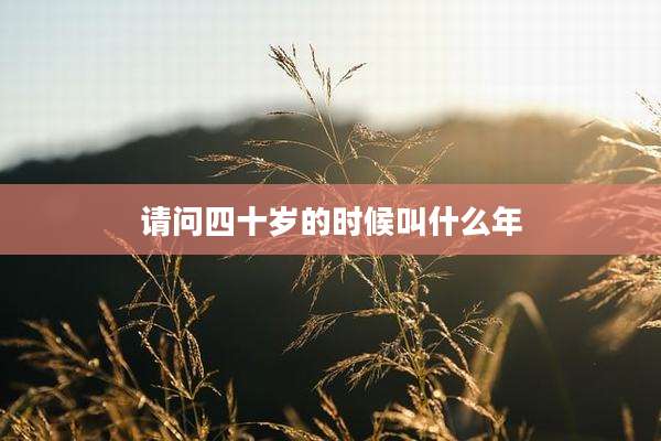 请问四十岁的时候叫什么年