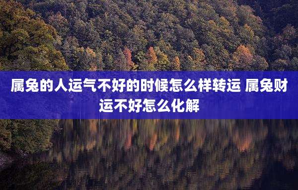 属兔的人运气不好的时候怎么样转运 属兔财运不好怎么化解