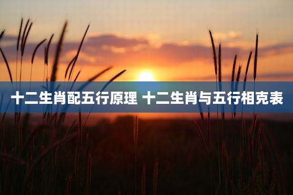 十二生肖配五行原理 十二生肖与五行相克表