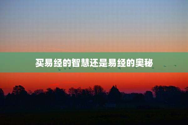 买易经的智慧还是易经的奥秘
