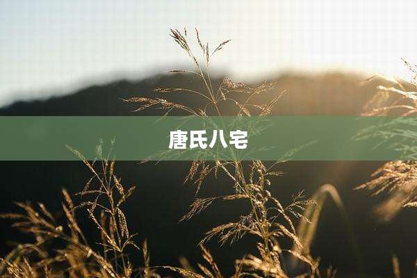 唐氏八宅