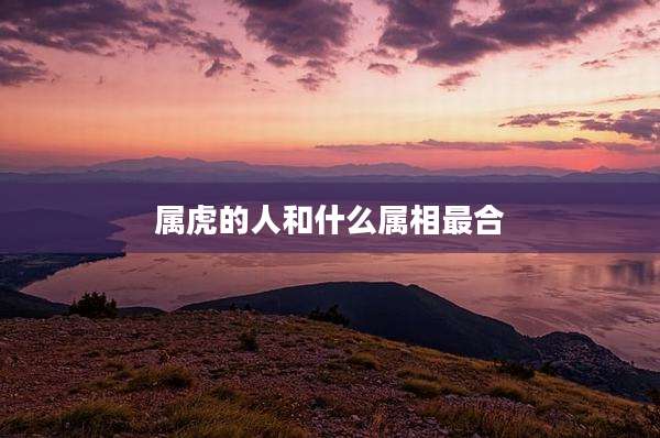属虎的人和什么属相最合