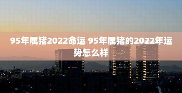 95年属猪2022命运 95年属猪的2022年运势怎么样