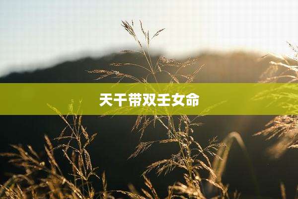 天干带双壬女命